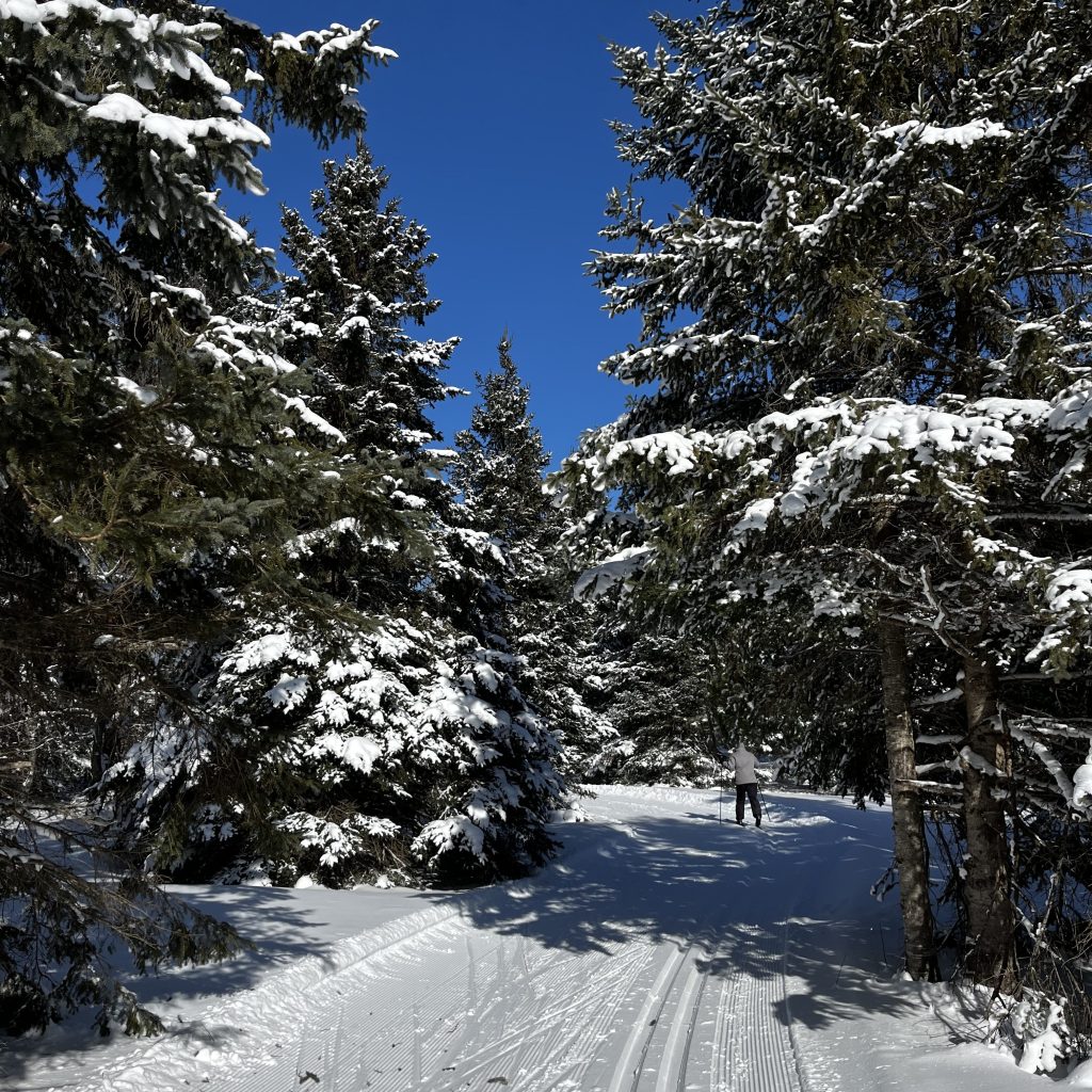 ironwood-michigan-nordic-skiing-cross-country-skis-erwin-township-gogebic-range-project-connect-anderson-bluffs-and-river-trails-foundation-abr-winter-silent-sports-donate-non-profit-organization-trail-connectivity-grooming-maintenance